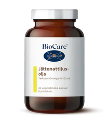 Jättenattljusolja 30 kap