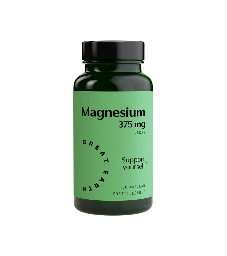 Magnesium 375 mg 100t
