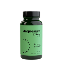 Magnesium 375 mg 100t