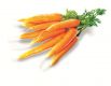 Biotta Morots Juice 500ml