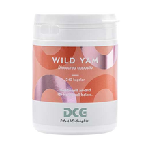 Wild Yam 360 kaps