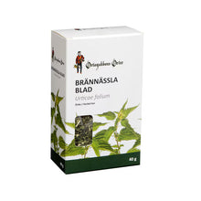 Brännässla