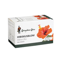 Hibiskusblomma Örtagubben 20st