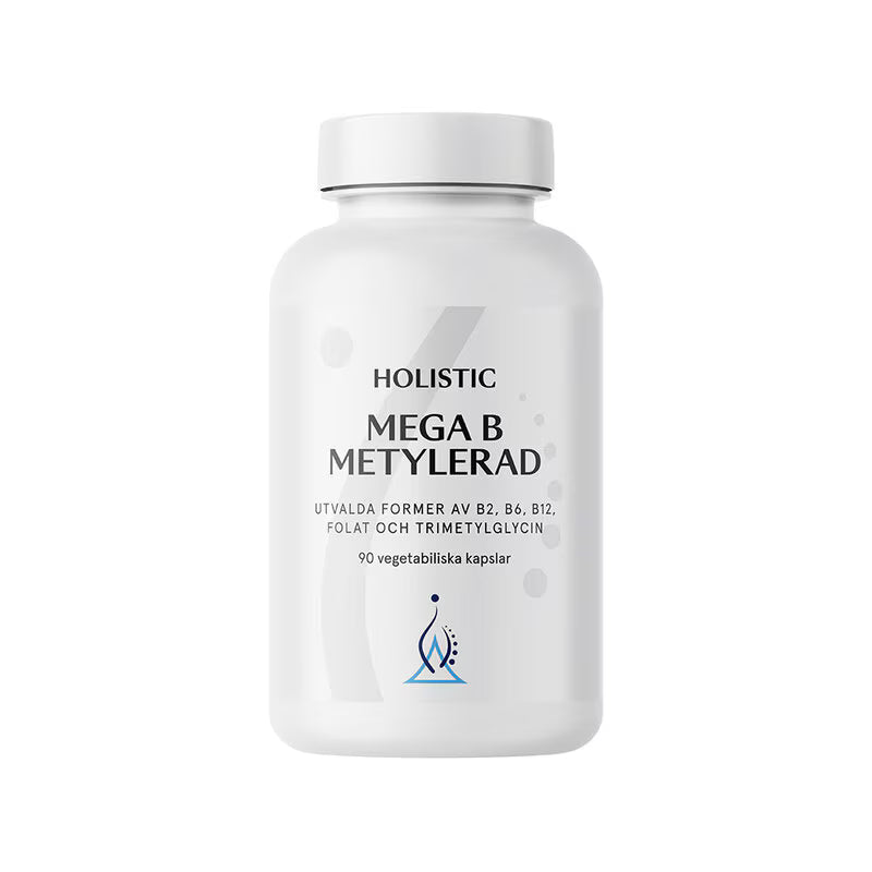 Mega B Metylerad 90k