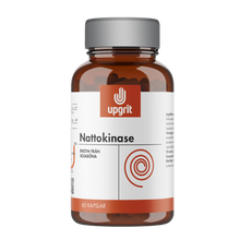 Nattokinase 60 kapslar